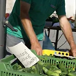 Letná Pensión