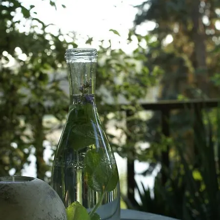 Affittacamere Letná Brandýs nad Labem-Stará Boleslav