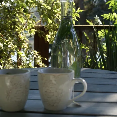 Letna Guest house