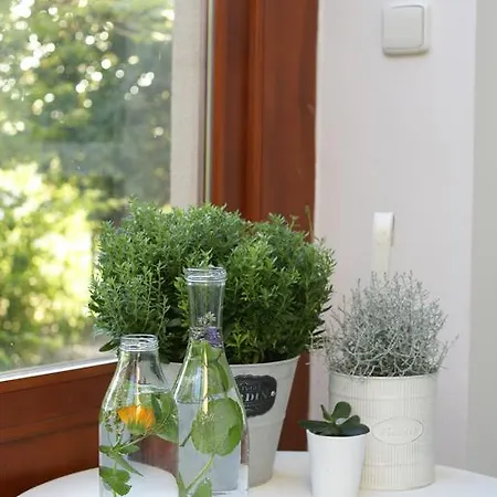 Affittacamere Letná 4*