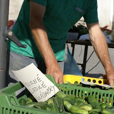 Letná Vendégház