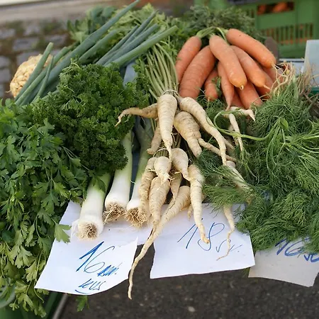 Affittacamere Letná Brandýs nad Labem-Stará Boleslav