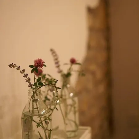 Letna Guest house