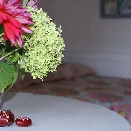 Affittacamere Letná 4*